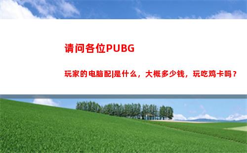 请问各位PUBG玩家的电脑配|是什么，大概多少钱，玩吃鸡卡吗？(请问各位菩萨的生?插图